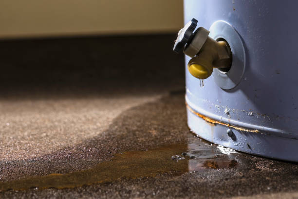Best Mold removal after water damage  in Minersville, PA