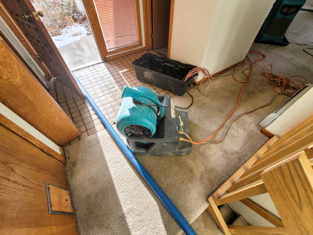 Best Commercial water damage restoration  in Minersville, PA