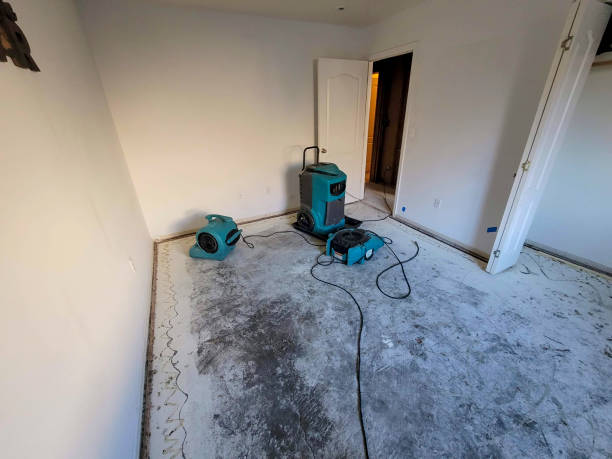 Best Ceiling water damage repair  in Minersville, PA
