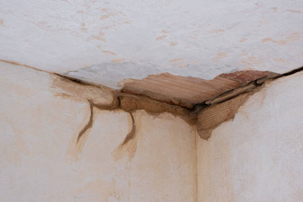 Best Water damage restoration insurance claims  in Minersville, PA