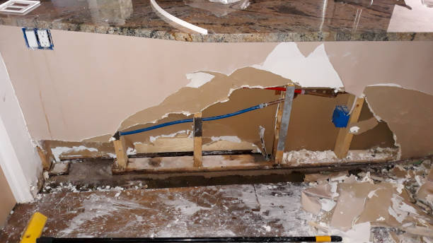 Best Ceiling water damage repair  in Minersville, PA