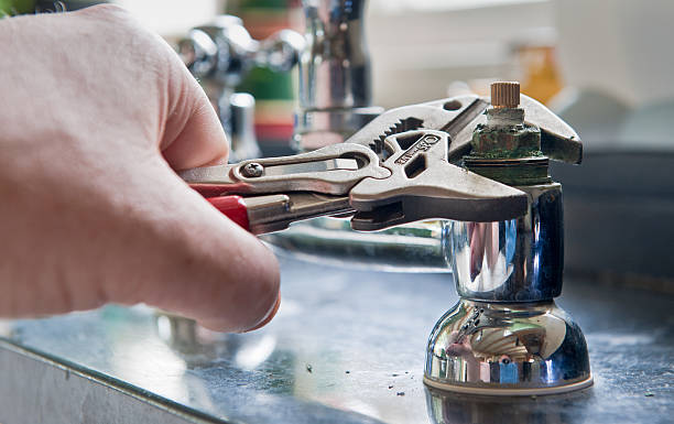 Best Flooded house restoration  in Minersville, PA