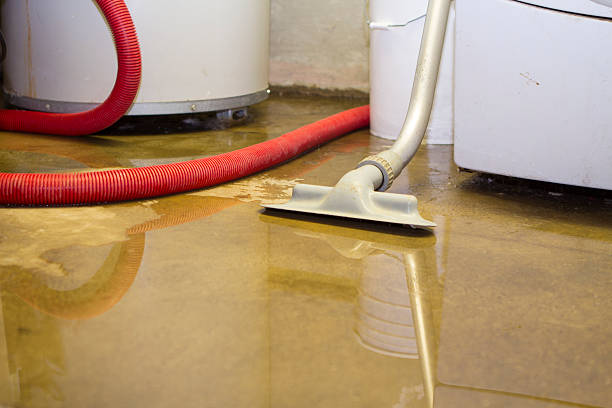Best Carpet water damage restoration  in Minersville, PA
