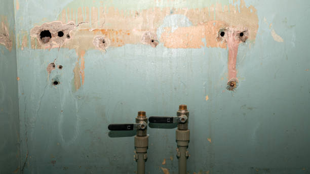 Best Water damage repair service  in Minersville, PA