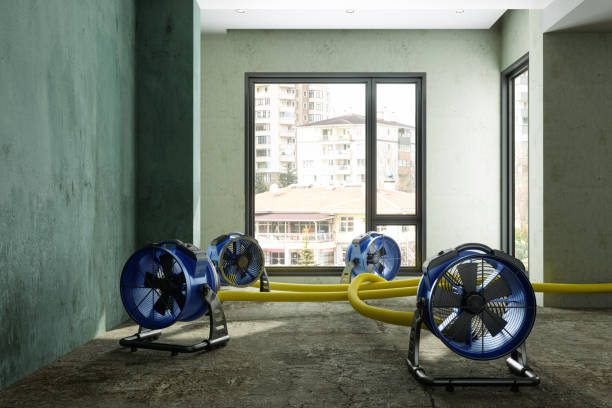 Best Water damage cleanup near me  in Minersville, PA