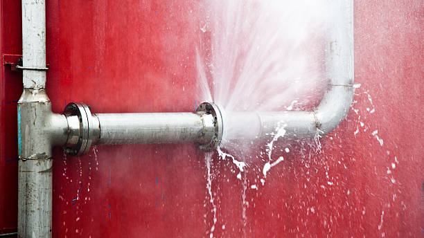 Best Basement water damage restoration  in Minersville, PA