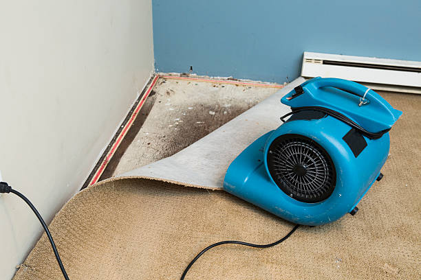 Best Emergency water damage restoration  in Minersville, PA