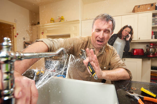 Best Professional water damage repair  in Minersville, PA
